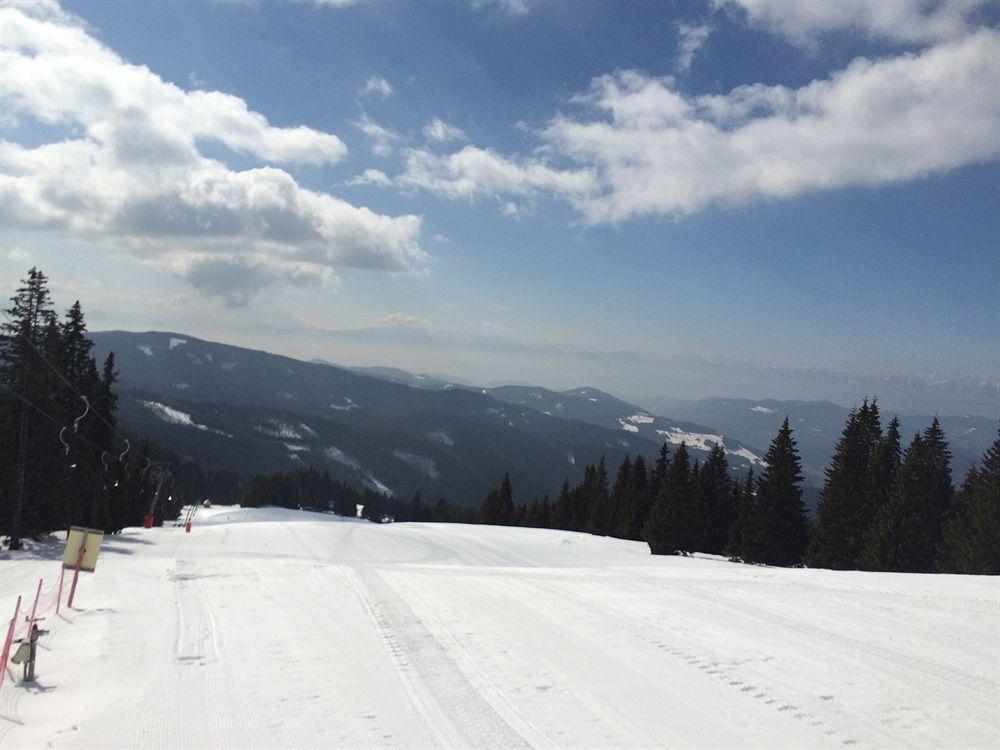 Panoramadorf Saualpe Hotel Eberstein Екстериор снимка